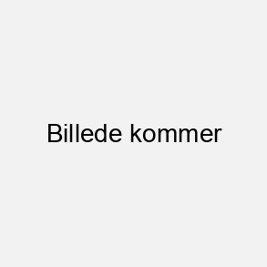 Den uperfekte workshop